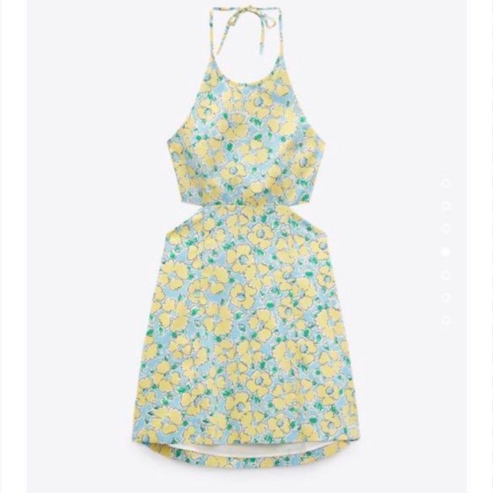 Zara Floral Printed Dress with Cut Out Detail